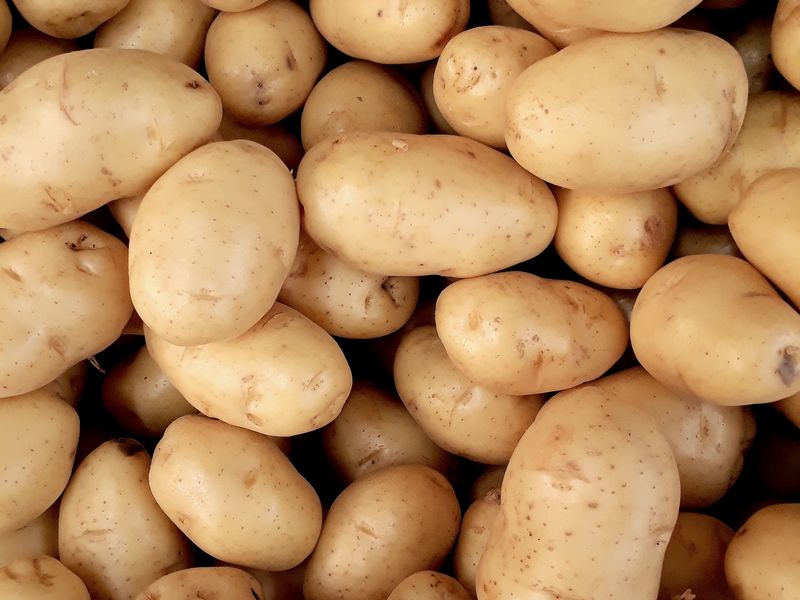 Potato